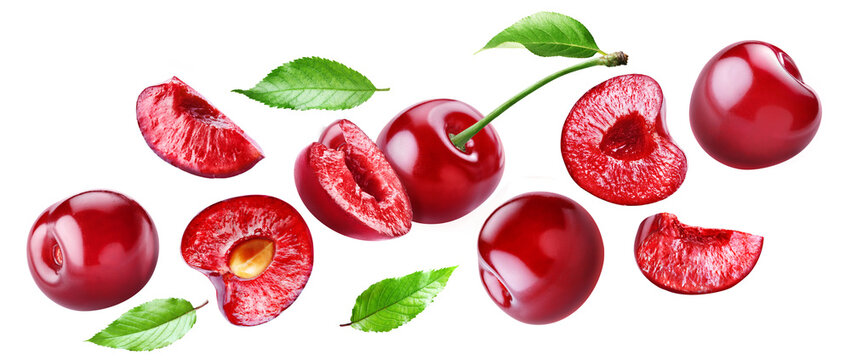 Flying juicy ripe sweet cherries with leaves isolated on transparent background.