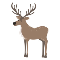 Fototapeta premium deer vector illustration