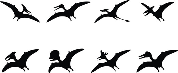 Pterosaur Silhouette Collection Featuring Flying Prehistoric Reptiles and Pterodactyl Vector Set © MstRezina