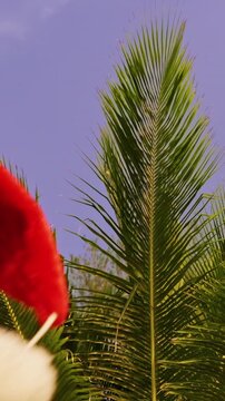 Vertical video. Slow Motion Santa Hat Resting Above Tropical Palm Fronds Against a Blue Sky, Christmas Holiday Spirit in a Warm Island Paradise