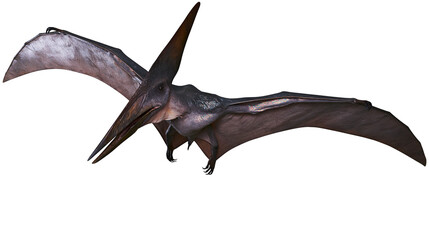 Pterodactylus flying creature with large wings, isolated on transparent background © AnaMaria