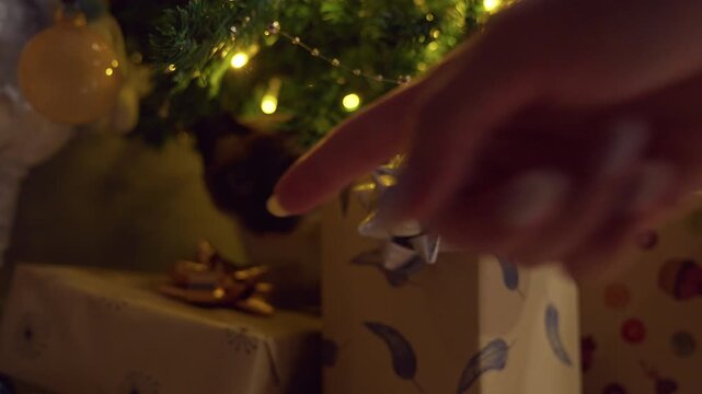 Person Warning a Curious Siamese Cat With a Raised Finger Near Wrapped Christmas Gifts Beneath a Decorated Tree, Playful Holiday Discipline, Cozy Family Home
