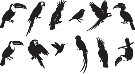 Obraz premium Toucan, parrot, bird silhouettes, black icons, tropical wildlife set, 12 vector graphics isolated on Transparent Background