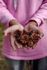 Hands Holding a Handful of Small Pine Cones © Saddha Visual