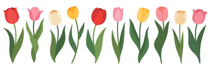 set of spring flowers tulips, multicolored tulip collection, simple hand drawn doodle style vector illustration, isolated floral elements, botanical decoration, spring season greeting card design. © Rose