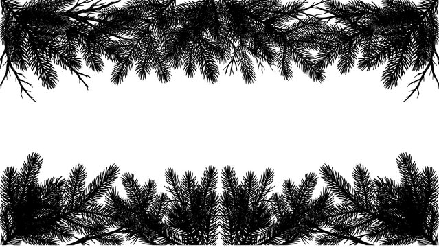 Black pine branches border frame silhouette