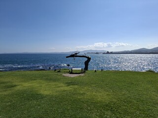 宮城県気仙沼市岩井崎にある三陸復興国立公園・復興の象徴「龍の松」と太陽のもとに輝く美しい海、その先に広がる尾伊勢崎と水平線の風景 © 福島　和久