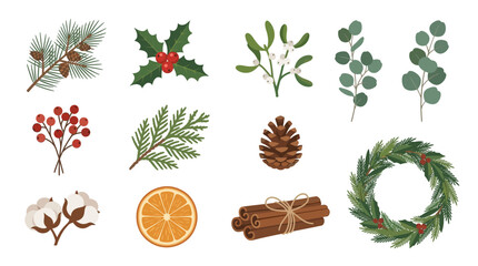 Christmas decorations with pinecones holly eucalyptus and cinnamon on white background illustration © MuhammadAbdulJalil01