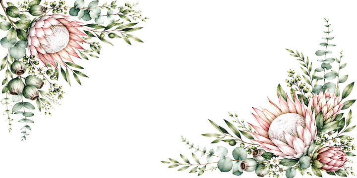 Watercolor protea and eucalyptus arrangement with white background a floral ornament for design projects flowers painting illustration botanical leaves greenery plantlife foliage blossom bloom petals