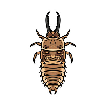 Predatory Water Beetle Larva Insect Vector Illustration