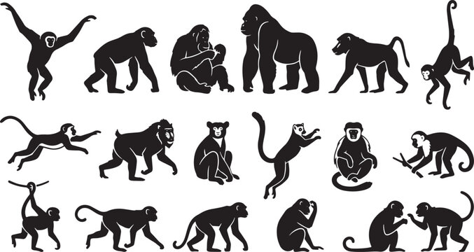 Monkey silhouettes, primate icons, black monkey graphics, 20 monkey shapes isolated on Transparent Background