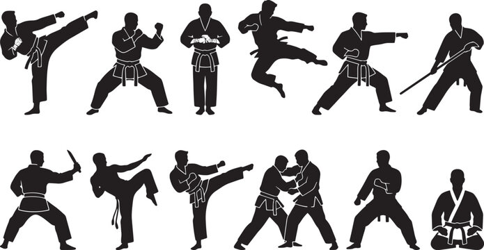 Martial arts silhouettes, karate icons, taekwondo illustrations, combat sports graphics isolated on Transparent Background