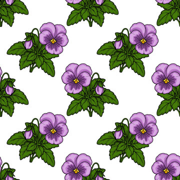 Seamless vector pattern with purple pansy flowers and green leaves on a white background