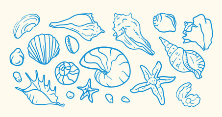 A charming collection of various, intricately detailed blue seashells in a linear style. Nautilus, scallops, bivalves, cowrie, starfish, conch. Great for beach branding and stickers © norrhin