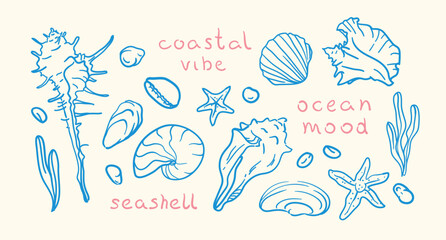 A charming collection of various, intricately detailed blue seashells in a linear style. Murex shell, nautilus, scallops, bivalves, cowrie, starfish, conch. Great for beach branding and stickers © norrhin