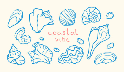 A charming collection of various, intricately detailed blue seashells in a linear style. Conch shell, nautilus, scallops, bivalves. Great for beach branding and stickers © norrhin