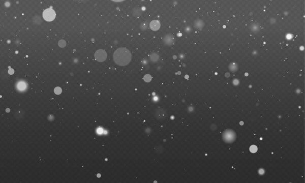 Soft silver sparkle fills transparent background with glowing dust and scattered light beams. Shimmering bokeh creates a dreamy luminous effect. Vector PNG illustration with glitter overlay.