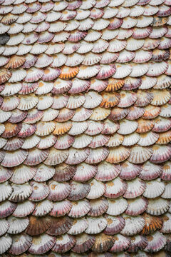 Wall of Scallop Shells Texture &ndash; Camino de Santiago Pattern Background