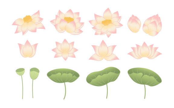 Lotus Flower Retro Design For Scene Creation