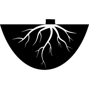 Plant Root System Vector Illustration