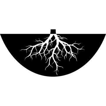 Tree Root System Vector Illustration