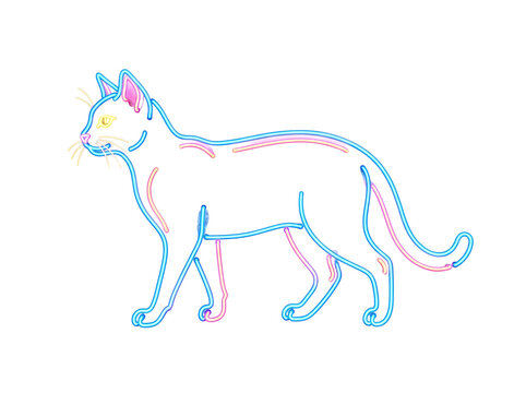 Vibrant neon glowing cat illustration featuring multi colored light lines and artistic striped patterns that create a modern electric aesthetic for creative design projects displayed isolated on a cle