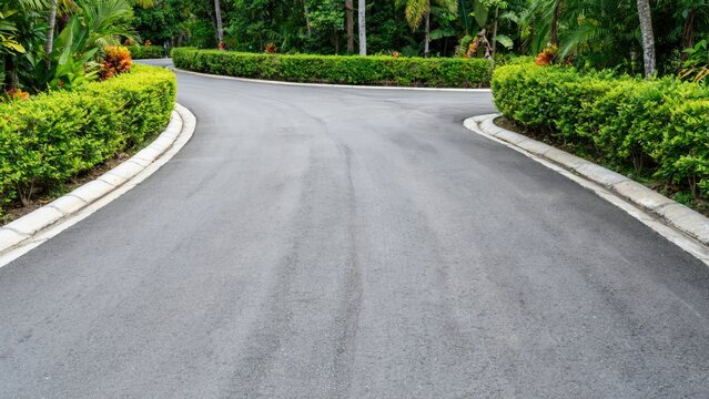 Asphalt road forking into two directions with lush green hedges