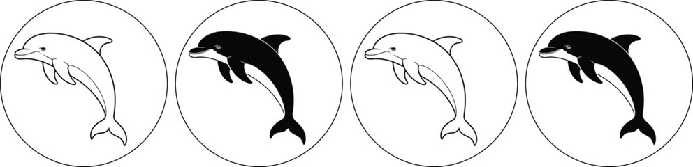 Killer whale jumping out of water four times in a row © MelonChandro