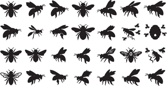 Insect silhouettes, bug icons, black fly symbols, 25 insect graphics isolated on Transparent Background