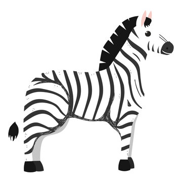 zebra cartoon vector illustration