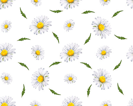 Watercolor daisy flowers seamless pattern.