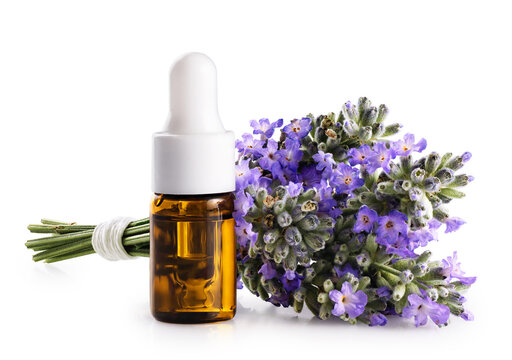 Bouquet of lavender and a bottle of lavender essential oil isolated on a white background. With clipping path.