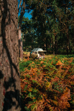Campervan Hidden in Autumn Fern Forest at Golden Hour &ndash; Wild Camping