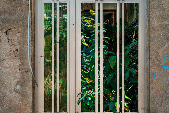 Abandoned Spanish House Door with Peeling Blue Paint and Overgrown Plants