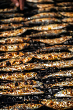 Grilled Sardines Close-Up on Charcoal BBQ &ndash; Traditional Spanish Seafood