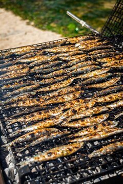 Grilled Sardines Close-Up on Charcoal BBQ &ndash; Traditional Spanish Seafood