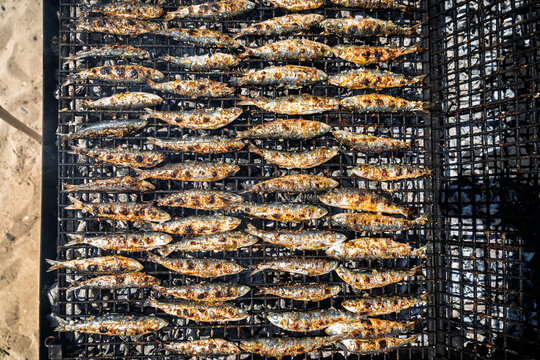 Overhead View of Golden Grilled Sardines on Charcoal BBQ &ndash; Spanish Seafood