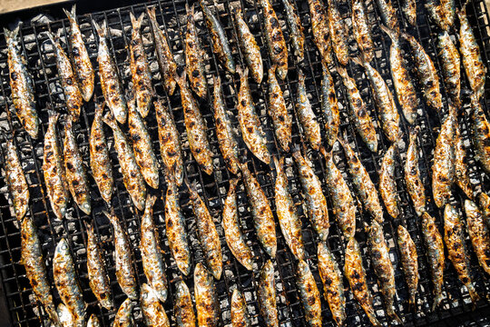 Overhead View of Golden Grilled Sardines on Charcoal BBQ &ndash; Spanish Seafood