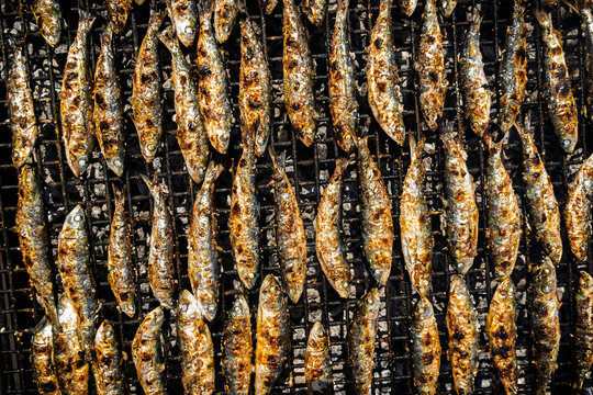 Overhead View of Golden Grilled Sardines on Charcoal BBQ &ndash; Spanish Seafood