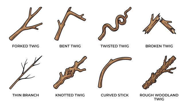 Halloween Dry Twig Collection with Twisted Broken Forked and Woodland Branch Vectors