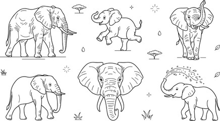 Elephant outline vector icon collection with safari animal calf head profile and water spraying elements on white © MdNipon