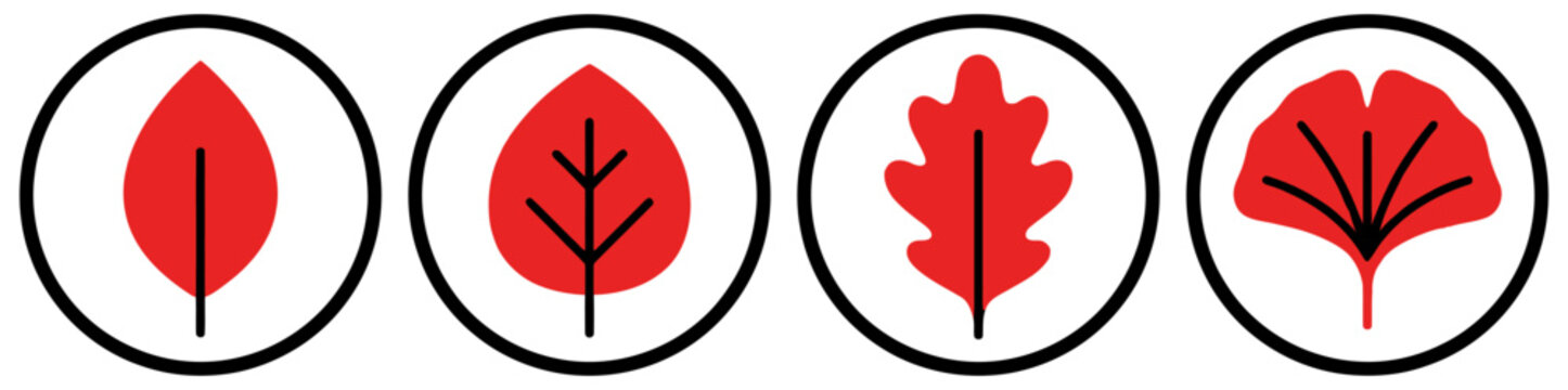 Four stylized red leaf icons with black outlines are presented side by side within black circles representing different leaf shapes plant nature autumn seasonal symbol graphic