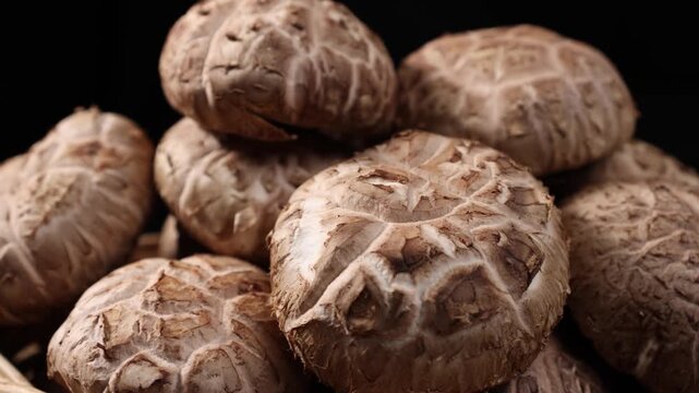 Close-up of fresh shiitake mushrooms arranged on a rustic wooden table. Natural edible mushrooms with rich texture and earthy flavor, widely used in Asian cuisine and healthy cooking. Ideal for themes