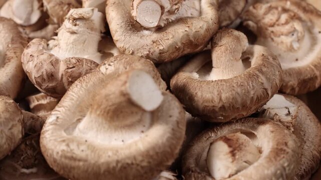 Close-up of fresh shiitake mushrooms arranged on a rustic wooden table. Natural edible mushrooms with rich texture and earthy flavor, widely used in Asian cuisine and healthy cooking. Ideal for themes