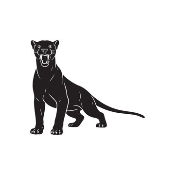 saber tooth cat on white background