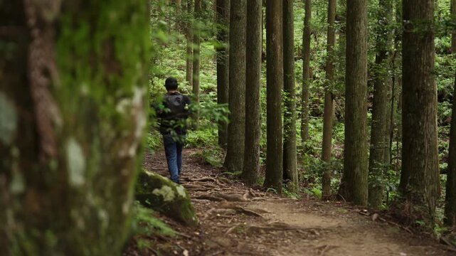 World Heritage Kumano Kodo Nakahechi Route: From Fushiogami-oji Shrine Site to Kumano Hongu Taisha, Tanabe, Wakayama, Japan　世界遺産・熊野古道中辺路「伏拝王子跡から熊野本宮大社へ」和歌山県田辺市