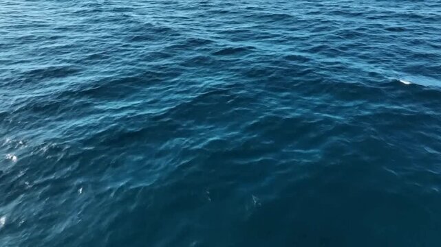 Ocean waves on a sunny day.