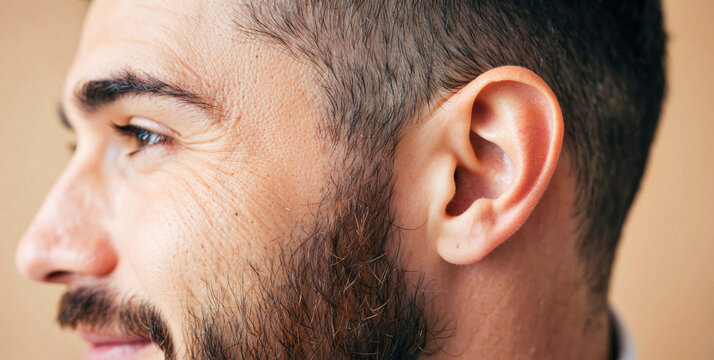 Profile of a Man with a Well-Groomed Beard and Short Hair