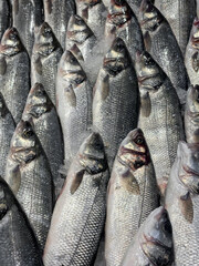 Obraz premium Fresh fish at a local seafood market