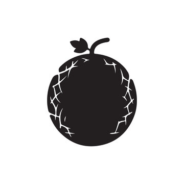 Muskmelon silhouette icon vector flat design.